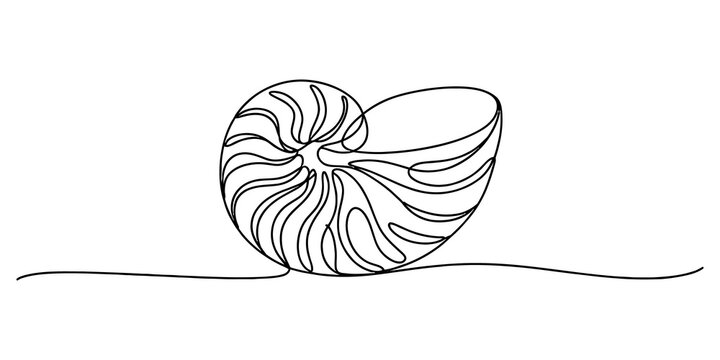 Continuous single line drawing of a nautilus shell isolated on transparent background