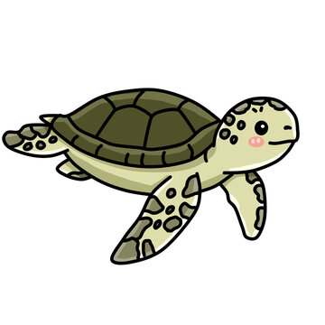Cute Sea Turtle Swimming Vector Illustration
