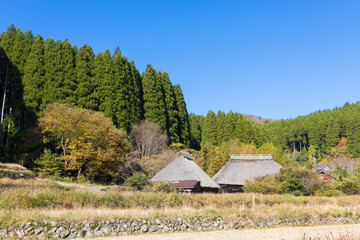 茅葺屋根と紅葉（大分県九重町） © takafumi99999