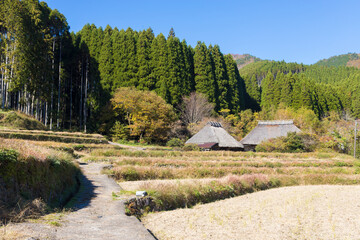 茅葺屋根と紅葉（大分県九重町） © takafumi99999