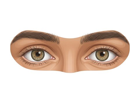 Human eyes looking forward detail close up