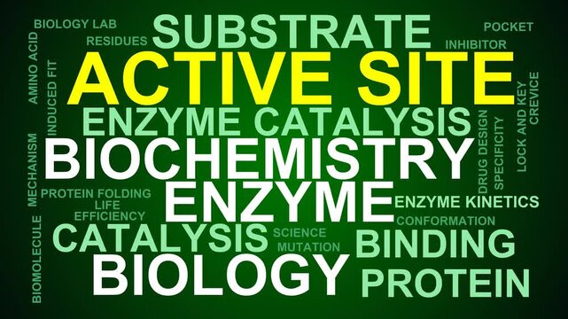 Active Site Word Cloud