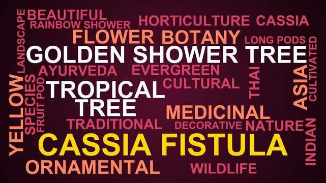 Cassia Fistula Word Cloud