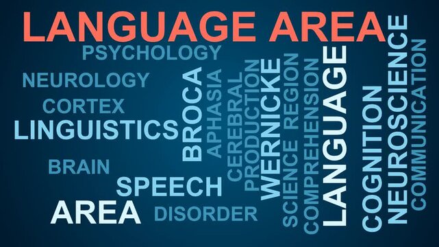 Language Area Word Cloud
