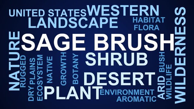 Sage Brush Word Cloud