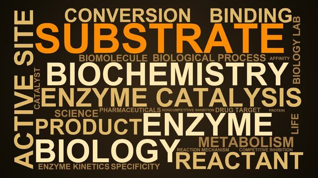 Substrate Word Cloud