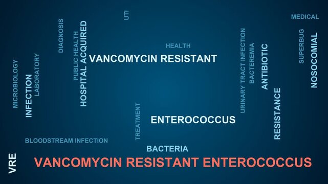 Vancomycin Resistant Enterococcus Word Cloud