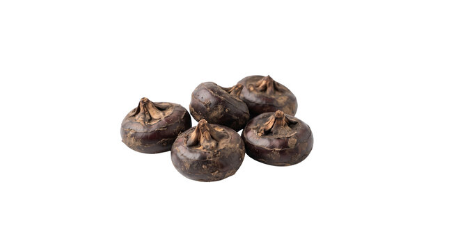 Fresh water chestnuts, raw organic Chinese water chestnut corms, dark brown healthy Asian cooking ingredients isolated PNG with Transparent Background