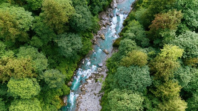 Aerial view of a turquoise river flowing through a dense green forest