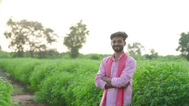 Happy indian farmer walking and observing at pigeon pea agriculture field