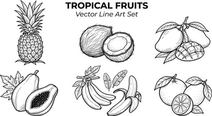 Naklejka premium Tropical fruits vector line art set pineapple coconut mango papaya banana orange vintage engraving illustration collection