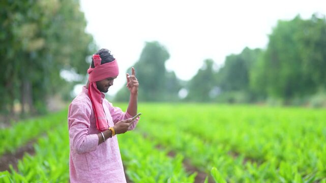 Young indian farmer using smartphone at turmeric agriculture field