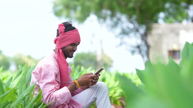 Young indian farmer using smartphone at turmeric agriculture field