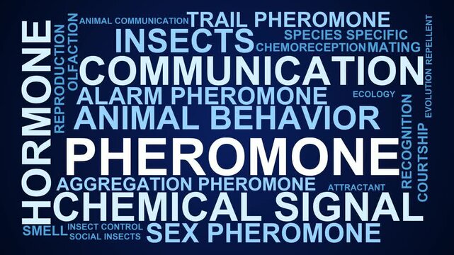 Pheromone Word Cloud