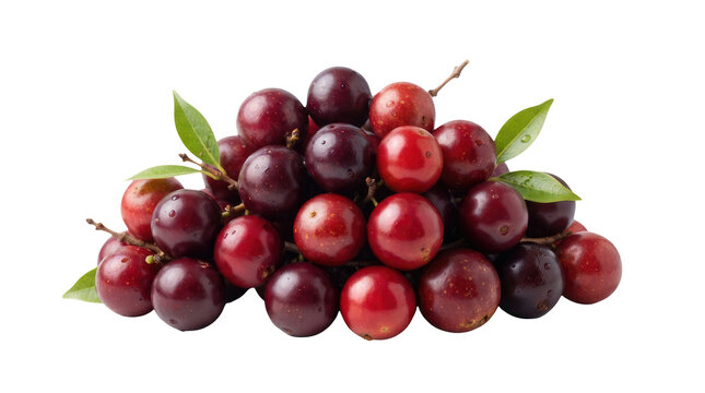 A pile of fresh ripe camu camu berries featuring glossy deep red and dark purple skin with tiny water droplets, small stems, and vibrant green leaves isolated on a clean pure white background