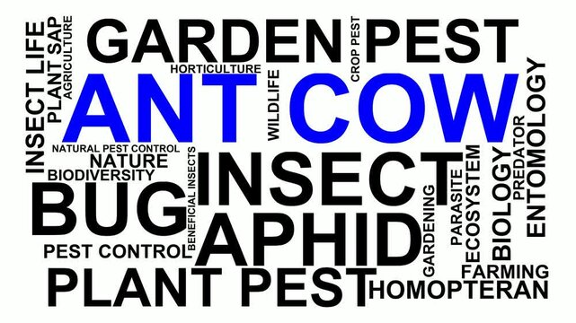 Ant Cow Word Cloud