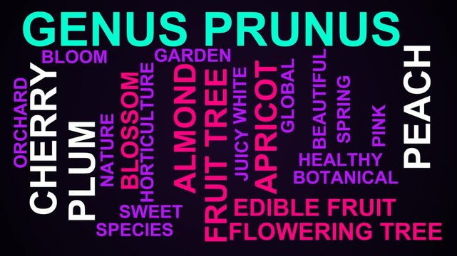 Genus Prunus Word Cloud