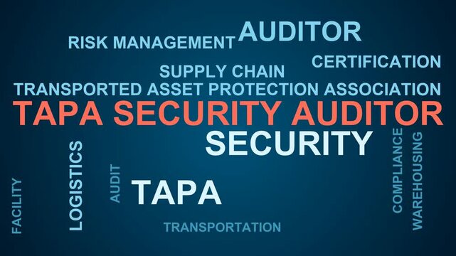 Tapa Security Auditor Word Cloud