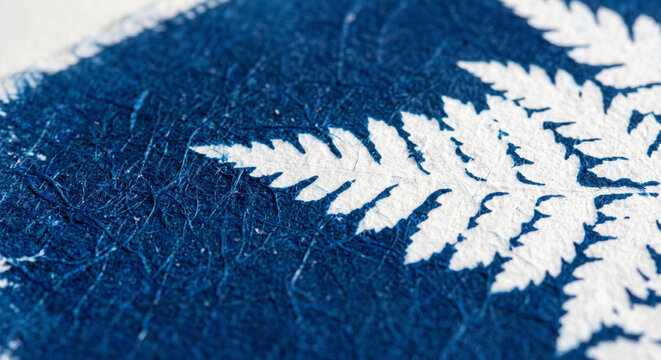 Cyanotype print displaying crisp white fern leaf silhouette over deep Prussian blue background for nature art