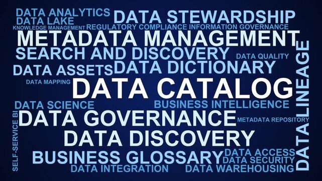 Data Catalog Word Cloud