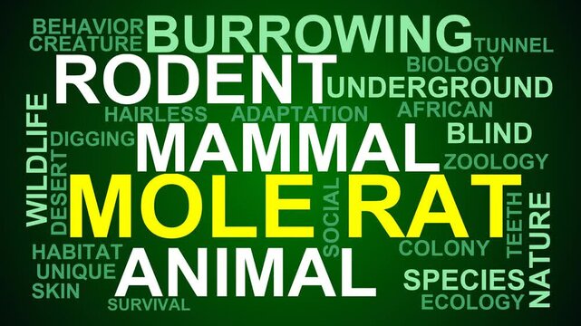 Mole Rat Word Cloud