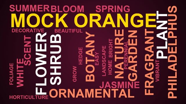 Mock Orange Word Cloud