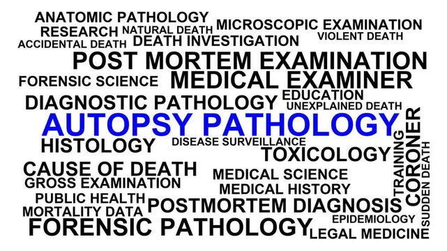 Autopsy Pathology Word Cloud