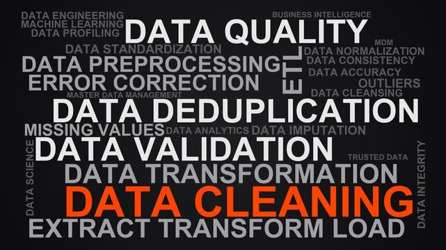 Data Cleaning Word Cloud