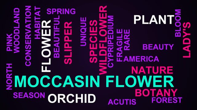 Moccasin Flower Word Cloud