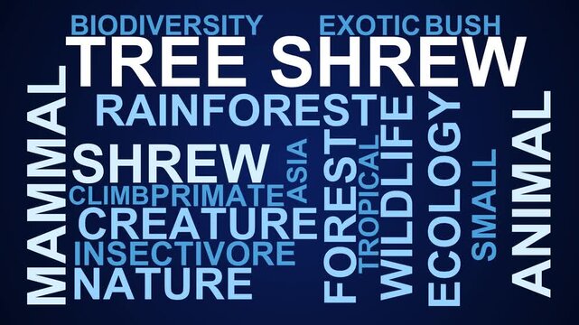 Tree Shrew Word Cloud
