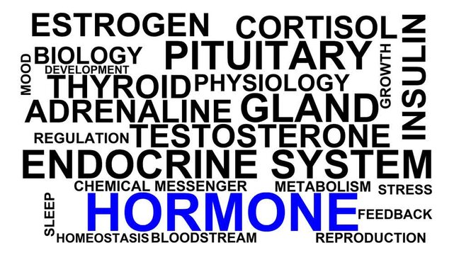 Hormone Word Cloud