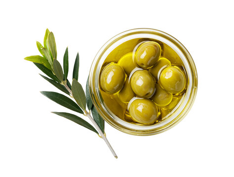 Green olives in olive oil with fresh olive branch, top view isolated on transparent background