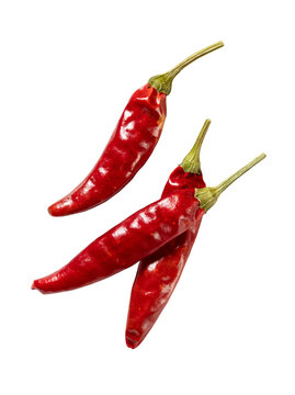 Three dried red chili peppers isolated on transparent background