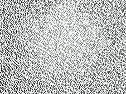 Shagreen Pattern