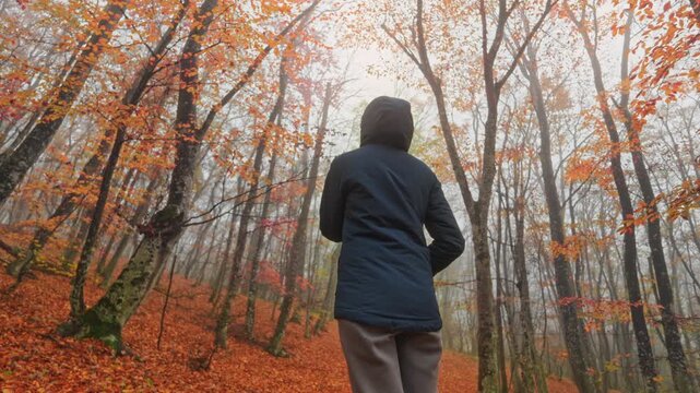 Hooded woman stands inside foggy autumn forest watching colorful foliage during smooth side slider tracking motion. Cinematic seasonal travel video footage serves as atmospheric design element.