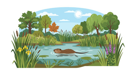Flat vector illustration of a beaver swimming in a scenic wetland pond with lush greenery © Hore