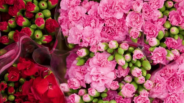 Top Down View of Fresh Bunches of Colorful Carnations at Market