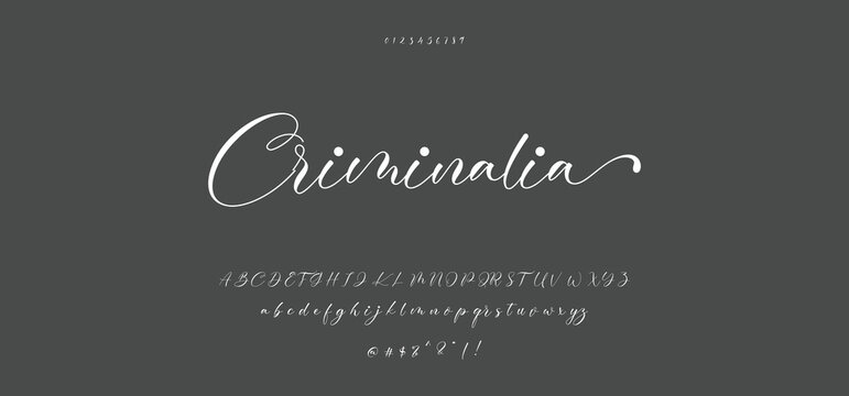 signature Font Calligraphy Logotype Script Brush Font Type Font lettering handwritten. Minimal modern urban fonts for logo, brand etc. Typography typeface uppercase lowercase and number.