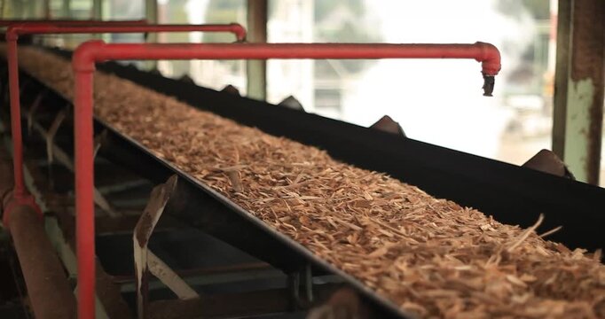 Advanced wood-processing machinery is cutting and shredding eucalyptus wood into fine mulch for pulp production.