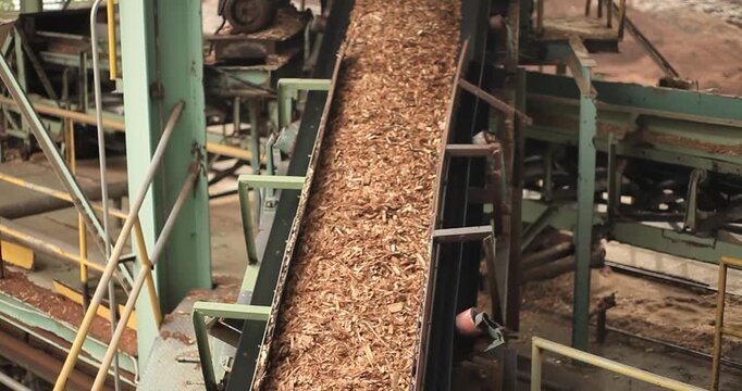 Advanced wood-processing machinery is cutting and shredding eucalyptus wood into fine mulch for pulp production.