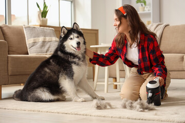 Pet hair removal and home cleaning, woman using handheld vacuum to clean dog fur from carpet with husky dog in living room © Pixel-Shot