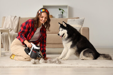 Pet hair cleaning and home maintenance, woman using handheld vacuum to remove dog fur from carpet with husky sitting nearby in living room © Pixel-Shot