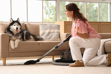 Pet care and home cleaning, woman vacuuming living room floor while husky dog rests on sofa, domestic life and pet ownership in modern house interior © Pixel-Shot
