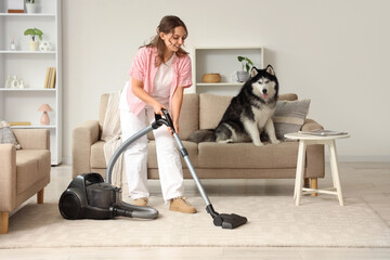 House cleaning and pet care, young woman vacuuming carpet in living room with husky dog sitting on sofa, domestic chores and lifestyle maintenance © Pixel-Shot