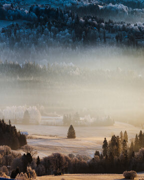Winter temperature inversion at sunrise with fog filling valley and sunbeams over forest