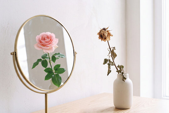 Conceptual still life image with flower and a mirror