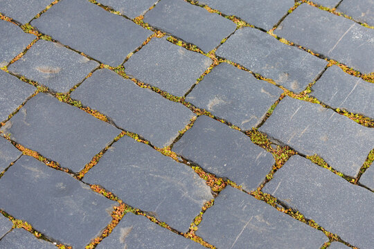 Dark gray stone pavers form a patterned walkway