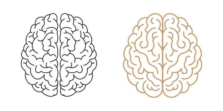 Set of two human brain line art icons
