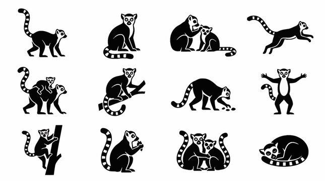 Vector illustration of a ring-tailed lemur with its iconic black and white striped tail, isolated on a white background, featuring detailed facial markings and expressive orange eyes.