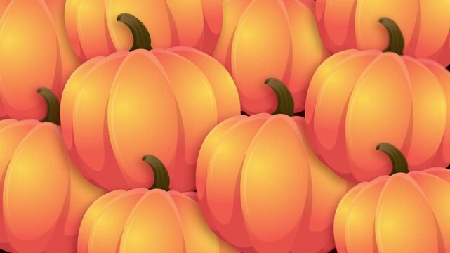 Fresh Pumpkins Thanksgiving Transitions on transparent background, Alpha Channel